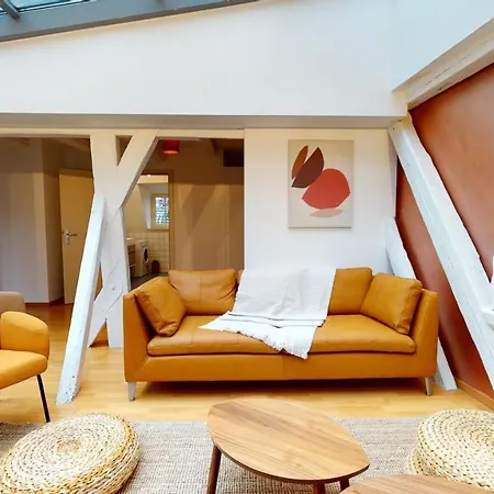Colmarappart Grand'rue Апартаменты Кольмар